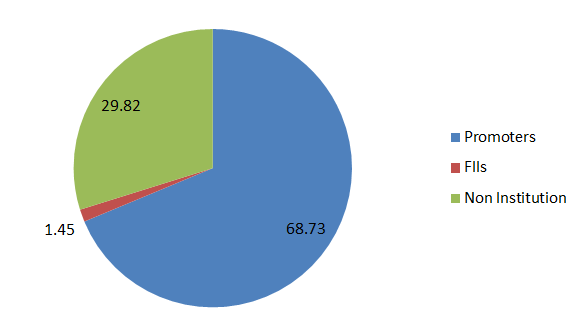 Dev Information Technology Current Share holding pattern 